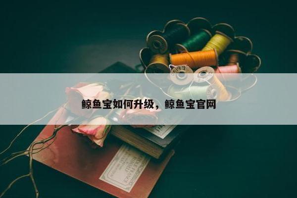 鲸鱼宝如何升级，鲸鱼宝官网