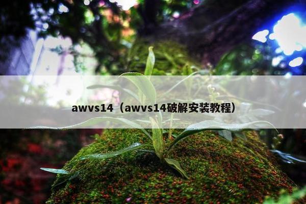 awvs14（awvs14破解安装教程）