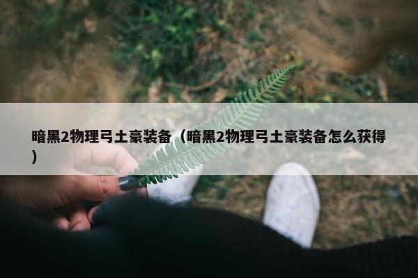 暗黑2物理弓土豪装备（暗黑2物理弓土豪装备怎么获得）