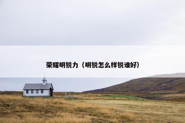 荣耀明锐力（明锐怎么样锐谁好）