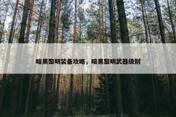 暗黑黎明装备攻略，暗黑黎明武器级别