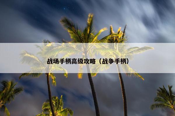 战场手柄高级攻略（战争手柄）