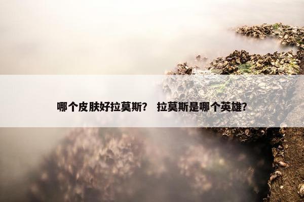 哪个皮肤好拉莫斯？ 拉莫斯是哪个英雄？