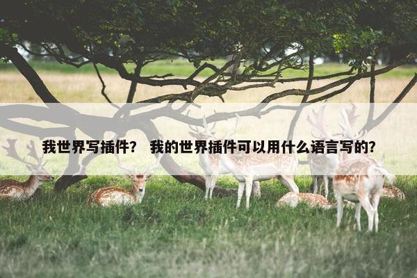 我世界写插件？ 我的世界插件可以用什么语言写的？