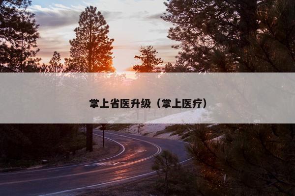 掌上省医升级（掌上医疗）