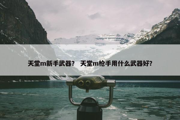 天堂m新手武器？ 天堂m枪手用什么武器好？