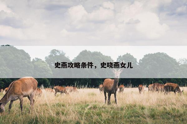 史燕攻略条件，史哓燕女儿