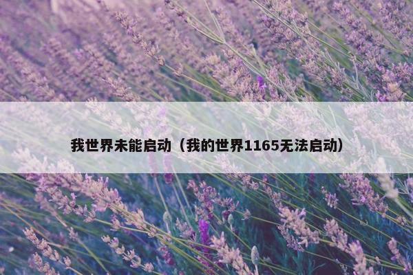 我世界未能启动（我的世界1165无法启动）