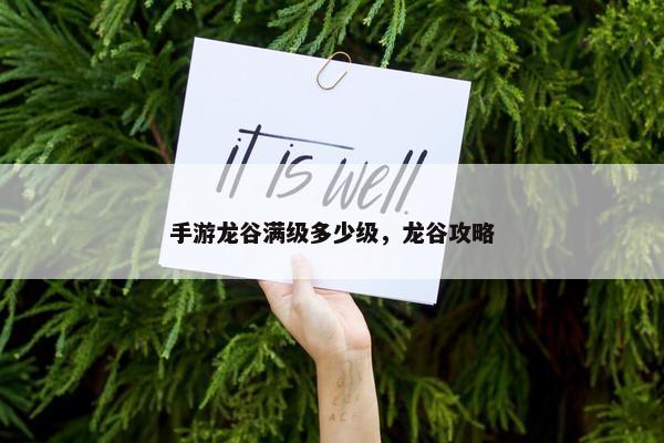 手游龙谷满级多少级，龙谷攻略