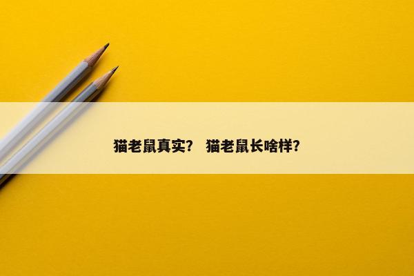 猫老鼠真实？ 猫老鼠长啥样？