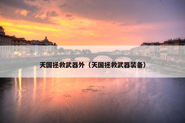 天国拯救武器外（天国拯救武器装备）