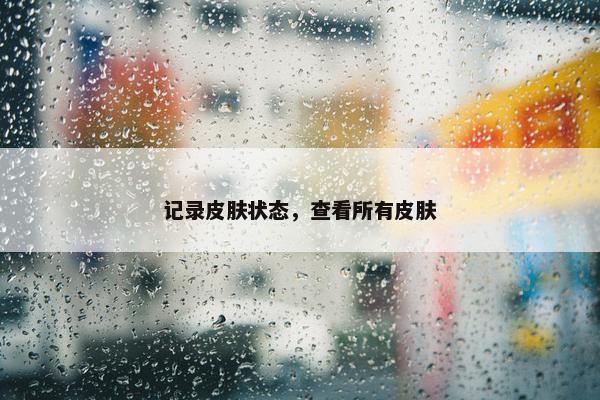 记录皮肤状态，查看所有皮肤