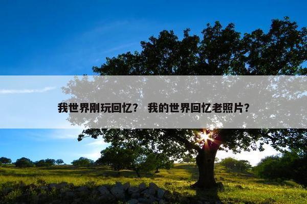 我世界刚玩回忆？ 我的世界回忆老照片？