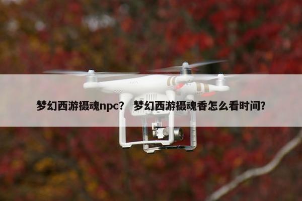 梦幻西游摄魂npc？ 梦幻西游摄魂香怎么看时间？