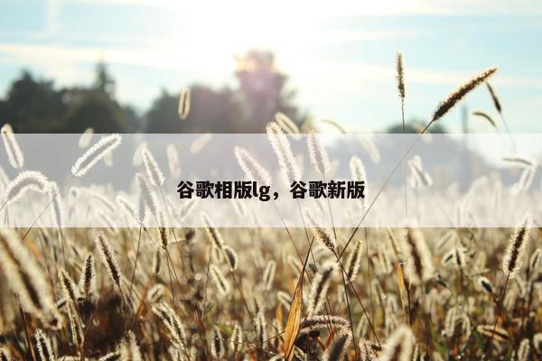谷歌相版lg，谷歌新版
