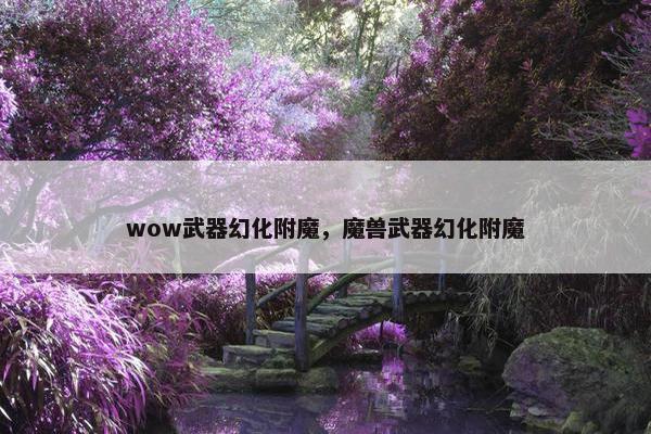 wow武器幻化附魔，魔兽武器幻化附魔