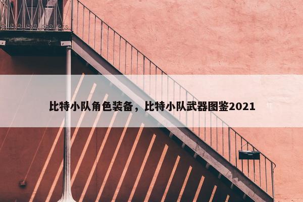 比特小队角色装备，比特小队武器图鉴2021