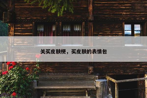 关买皮肤梗，买皮肤的表情包