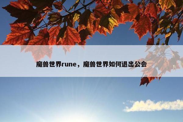 魔兽世界rune，魔兽世界如何退出公会