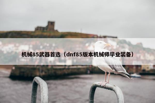 机械85武器首选（dnf85版本机械师毕业装备）