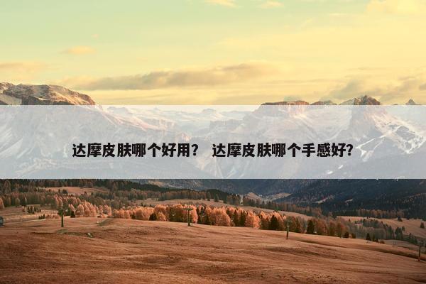 达摩皮肤哪个好用？ 达摩皮肤哪个手感好？