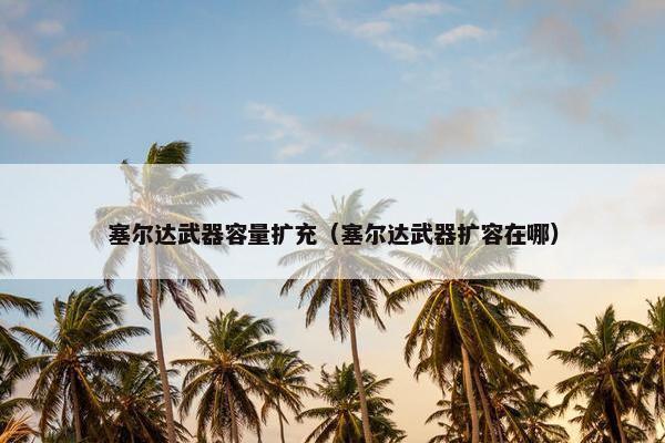 塞尔达武器容量扩充（塞尔达武器扩容在哪）