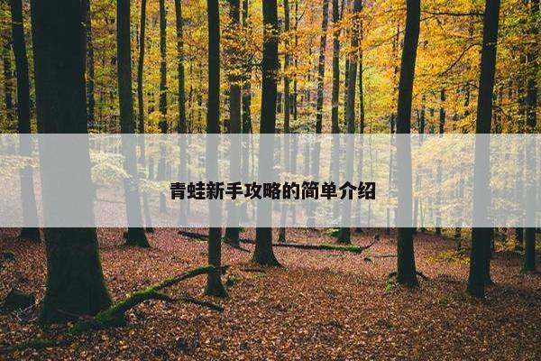 青蛙新手攻略的简单介绍