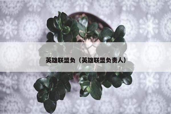 英雄联盟负（英雄联盟负责人）