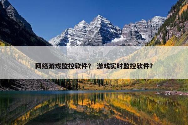 网络游戏监控软件？ 游戏实时监控软件？