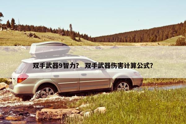 双手武器9智力？ 双手武器伤害计算公式？