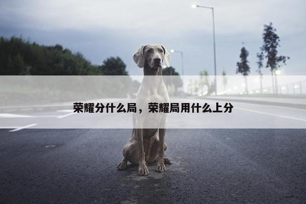 荣耀分什么局，荣耀局用什么上分