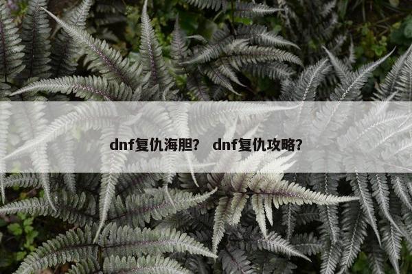 dnf复仇海胆？ dnf复仇攻略？