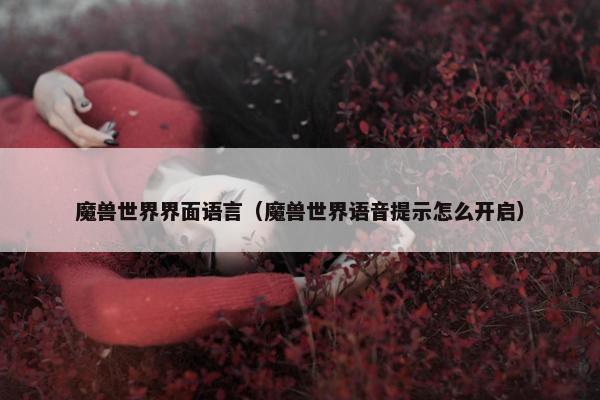 魔兽世界界面语言（魔兽世界语音提示怎么开启）