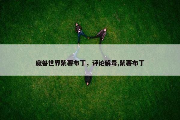 魔兽世界紫薯布丁，评论解毒,紫薯布丁