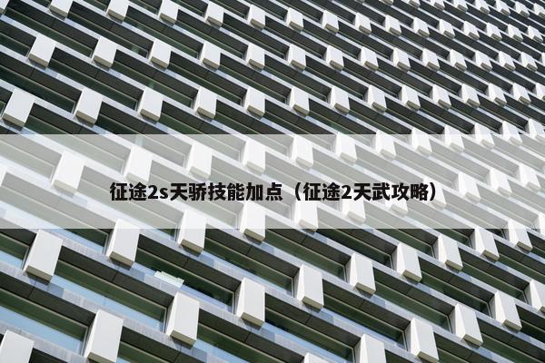 征途2s天骄技能加点（征途2天武攻略）
