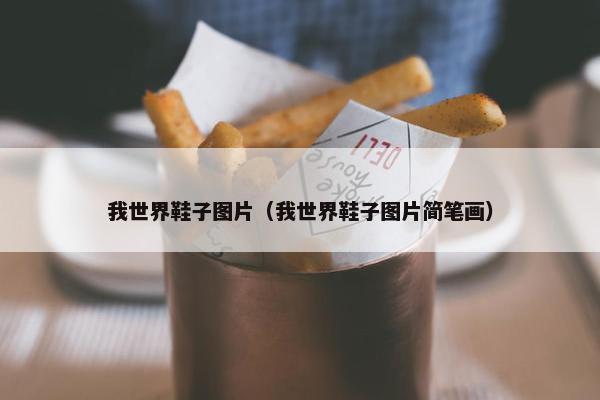 我世界鞋子图片（我世界鞋子图片简笔画）