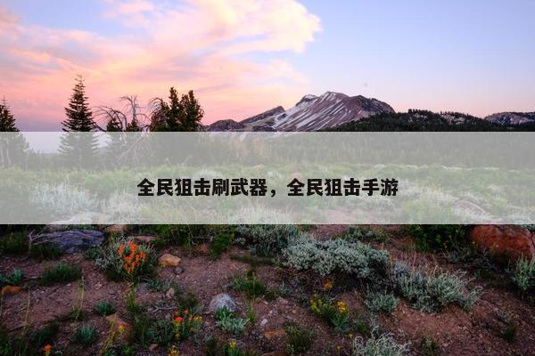 全民狙击刷武器，全民狙击手游