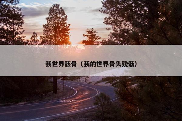 我世界骸骨（我的世界骨头残骸）