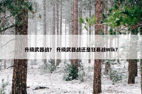 升级武器战？ 升级武器战还是狂暴战Wlk？
