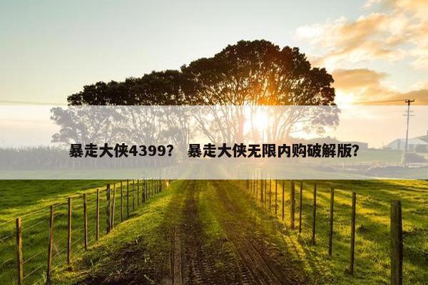 暴走大侠4399？ 暴走大侠无限内购破解版？