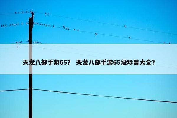 天龙八部手游65？ 天龙八部手游65级珍兽大全？