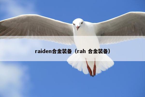 raiden合金装备（rah 合金装备）