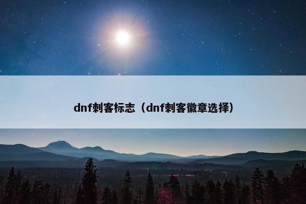 dnf刺客标志（dnf刺客徽章选择）