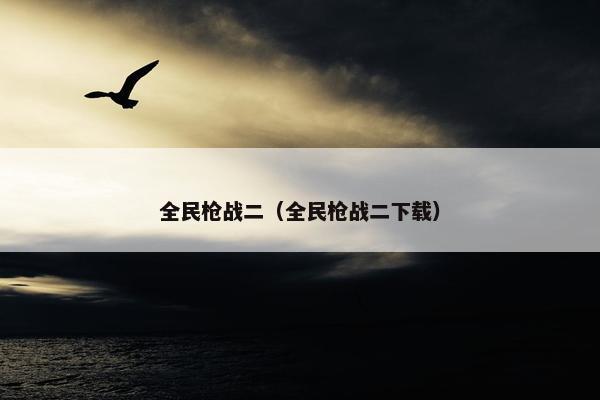 全民枪战二（全民枪战二下载）