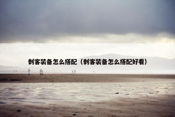 刺客装备怎么搭配（刺客装备怎么搭配好看）