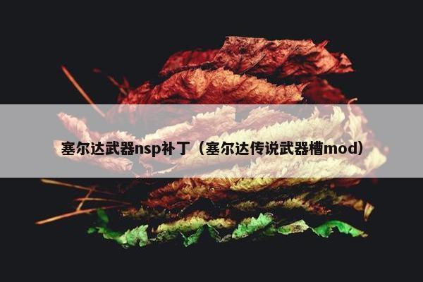 塞尔达武器nsp补丁（塞尔达传说武器槽mod）