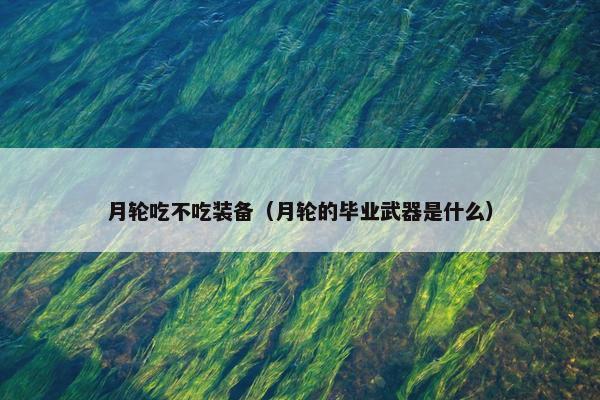 月轮吃不吃装备（月轮的毕业武器是什么）