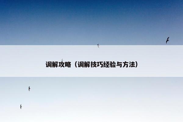 调解攻略（调解技巧经验与方法）