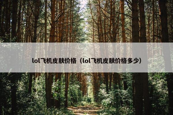 lol飞机皮肤价格（lol飞机皮肤价格多少）