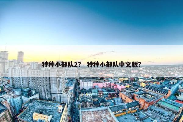 特种小部队2？ 特种小部队中文版？